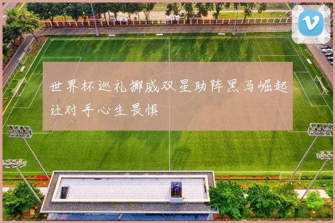 世界杯巡礼挪威双星助阵黑马崛起让对手心生畏惧