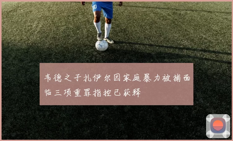 韦德之子扎伊尔因家庭暴力被捕面临三项重罪指控已获释
